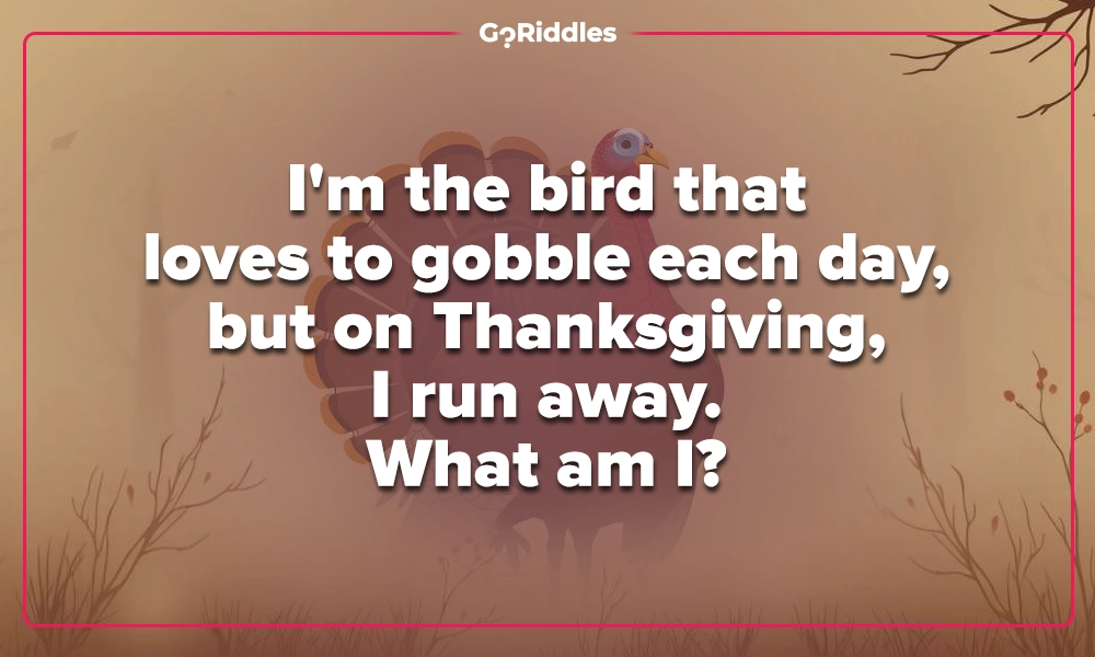 Turkey riddle about the gobbling bird that hides on Thanksgiving
