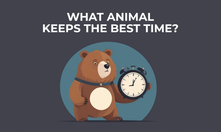 Brain Teaser: What Animal Keeps the Best Time?