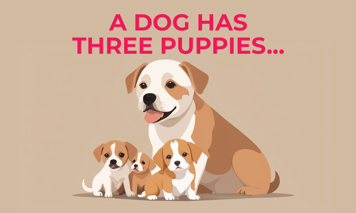 a dog has three puppies riddle