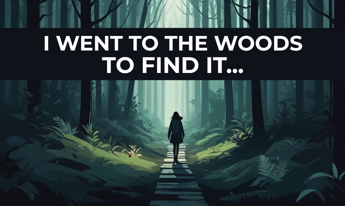 i went to the woods to find it riddle