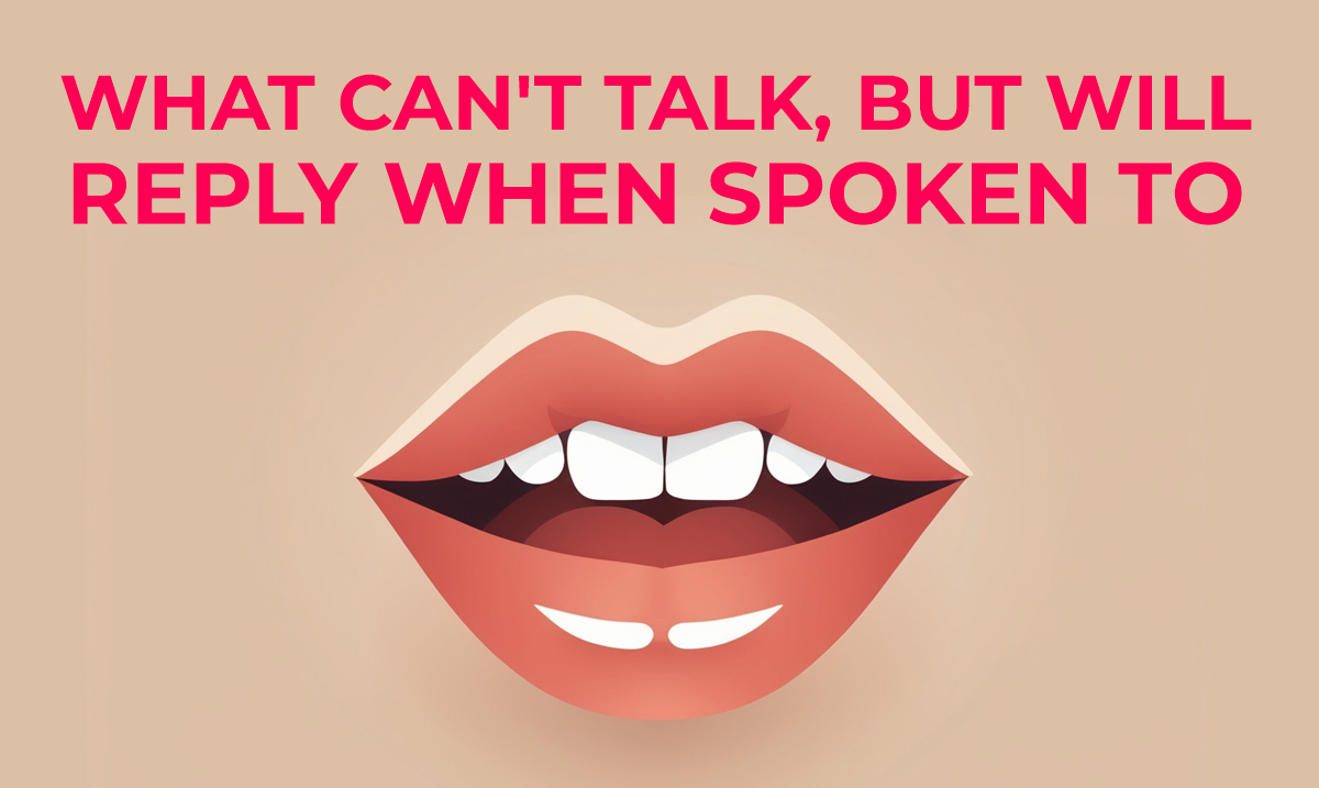 what can't talk but will reply when spoken to