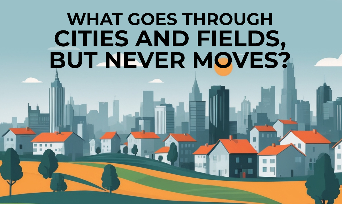 what goes through cities and fields but never moves